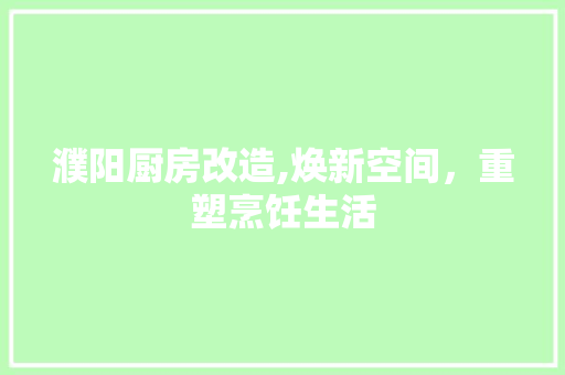濮阳厨房改造,焕新空间，重塑烹饪生活