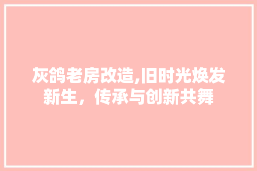 灰鸽老房改造,旧时光焕发新生，传承与创新共舞