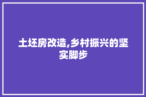 土坯房改造,乡村振兴的坚实脚步
