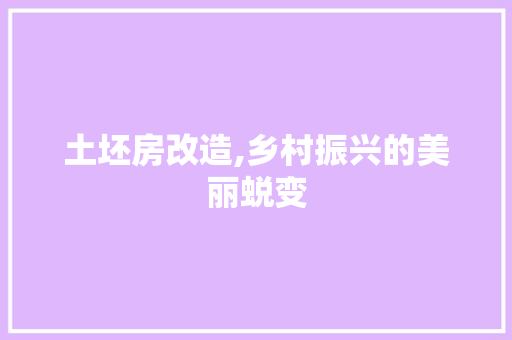 土坯房改造,乡村振兴的美丽蜕变