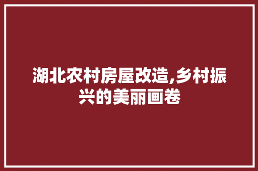 湖北农村房屋改造,乡村振兴的美丽画卷