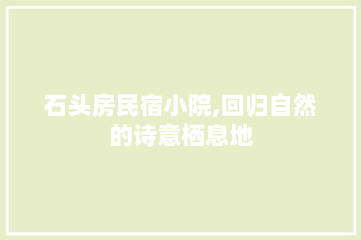 石头房民宿小院,回归自然的诗意栖息地