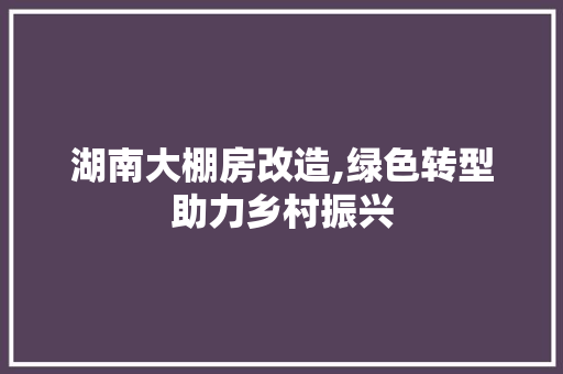 湖南大棚房改造,绿色转型助力乡村振兴