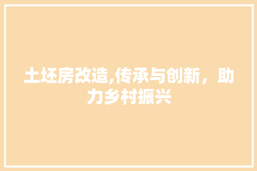 土坯房改造,传承与创新，助力乡村振兴