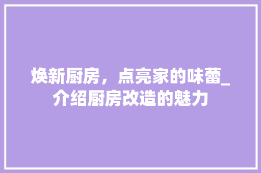焕新厨房，点亮家的味蕾_介绍厨房改造的魅力
