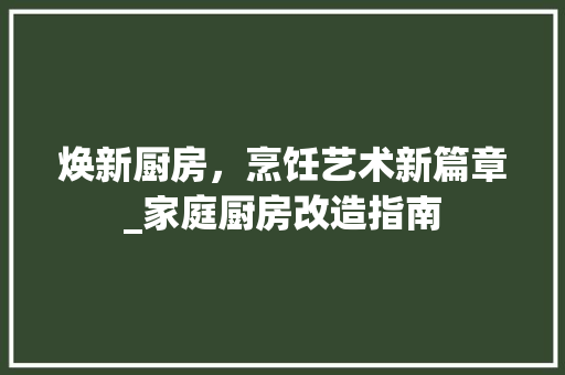 焕新厨房，烹饪艺术新篇章_家庭厨房改造指南
