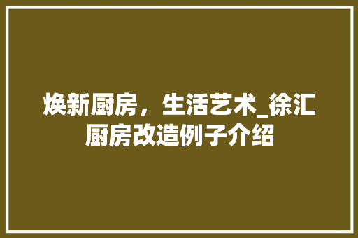 焕新厨房，生活艺术_徐汇厨房改造例子介绍