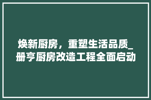 焕新厨房，重塑生活品质_册亨厨房改造工程全面启动