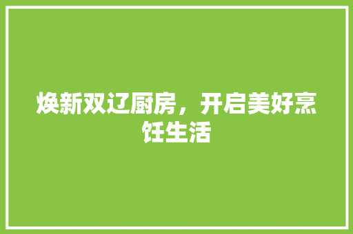 焕新双辽厨房，开启美好烹饪生活
