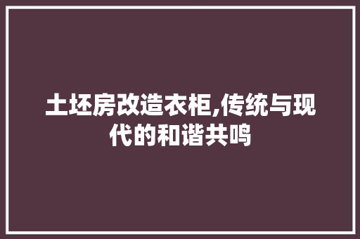 土坯房改造衣柜,传统与现代的和谐共鸣
