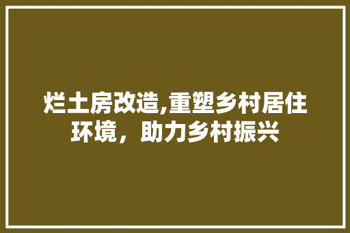 烂土房改造,重塑乡村居住环境，助力乡村振兴