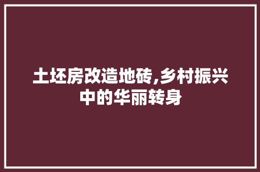 土坯房改造地砖,乡村振兴中的华丽转身