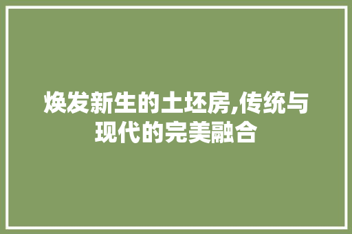 焕发新生的土坯房,传统与现代的完美融合