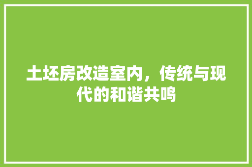 土坯房改造室内，传统与现代的和谐共鸣