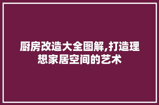 厨房改造大全图解,打造理想家居空间的艺术