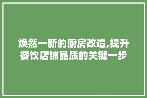焕然一新的厨房改造,提升餐饮店铺品质的关键一步