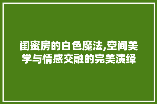 闺蜜房的白色魔法,空间美学与情感交融的完美演绎