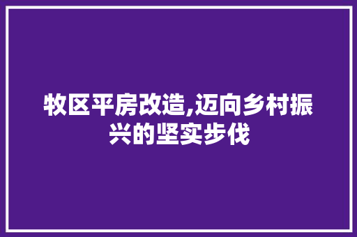 牧区平房改造,迈向乡村振兴的坚实步伐
