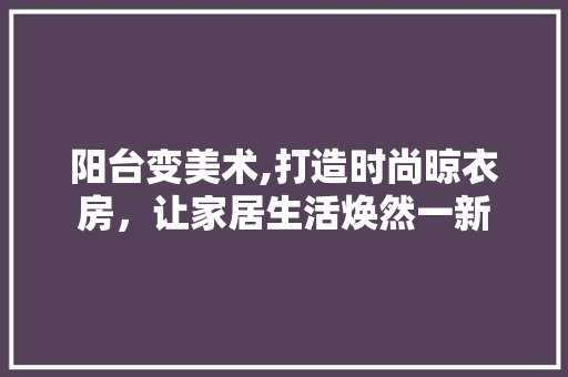阳台变美术,打造时尚晾衣房，让家居生活焕然一新