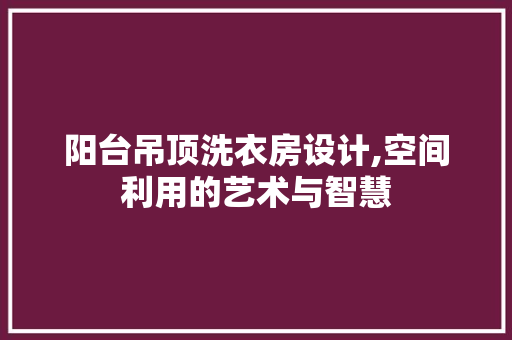 阳台吊顶洗衣房设计,空间利用的艺术与智慧