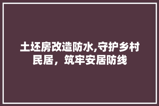 土坯房改造防水,守护乡村民居，筑牢安居防线