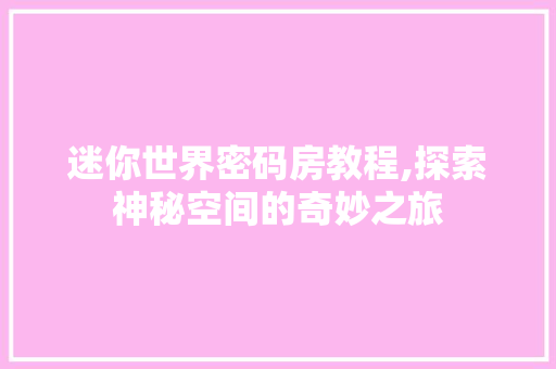 迷你世界密码房教程,探索神秘空间的奇妙之旅