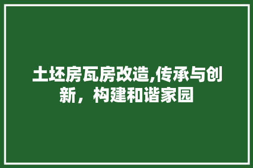 土坯房瓦房改造,传承与创新，构建和谐家园