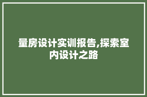 量房设计实训报告,探索室内设计之路