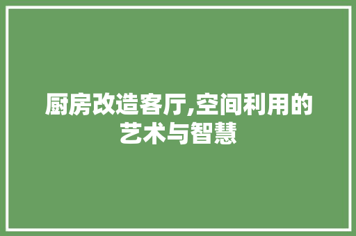 厨房改造客厅,空间利用的艺术与智慧