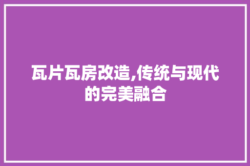 瓦片瓦房改造,传统与现代的完美融合