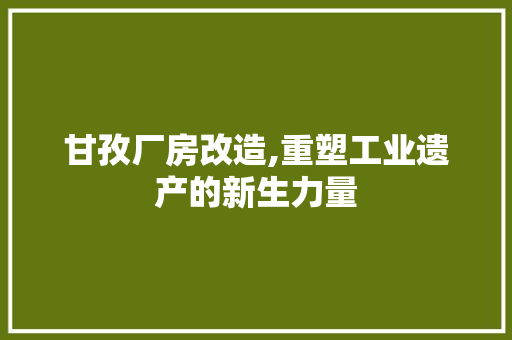 甘孜厂房改造,重塑工业遗产的新生力量