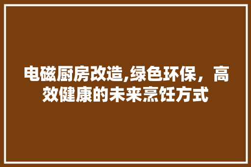 电磁厨房改造,绿色环保，高效健康的未来烹饪方式
