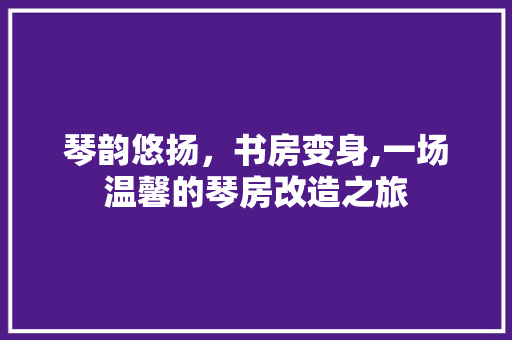 琴韵悠扬，书房变身,一场温馨的琴房改造之旅