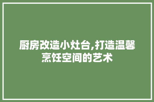 厨房改造小灶台,打造温馨烹饪空间的艺术