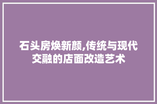 石头房焕新颜,传统与现代交融的店面改造艺术