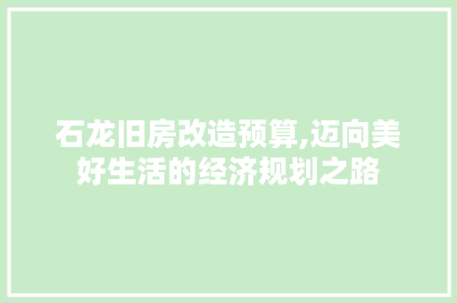 石龙旧房改造预算,迈向美好生活的经济规划之路