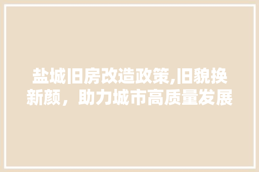 盐城旧房改造政策,旧貌换新颜，助力城市高质量发展