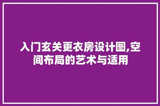 入门玄关更衣房设计图,空间布局的艺术与适用