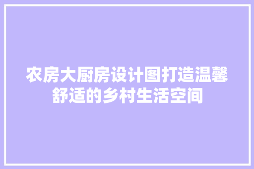 农房大厨房设计图打造温馨舒适的乡村生活空间