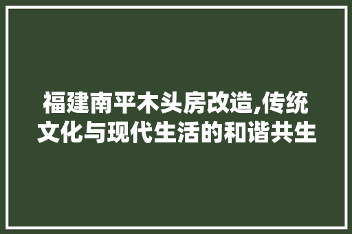 福建南平木头房改造,传统文化与现代生活的和谐共生