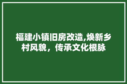 福建小镇旧房改造,焕新乡村风貌，传承文化根脉