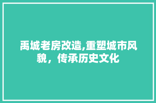 禹城老房改造,重塑城市风貌，传承历史文化