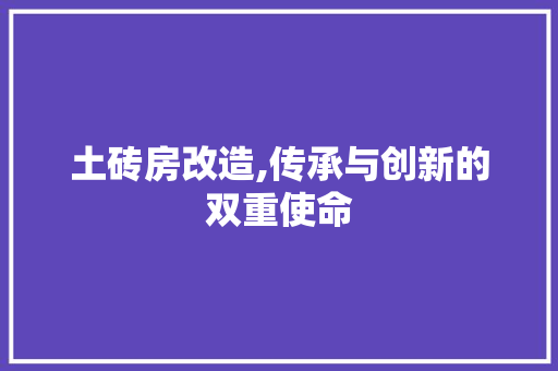 土砖房改造,传承与创新的双重使命