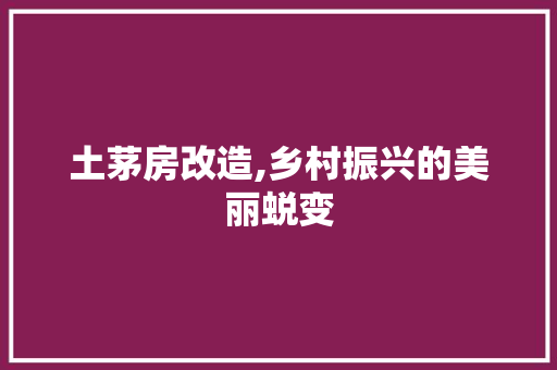 土茅房改造,乡村振兴的美丽蜕变