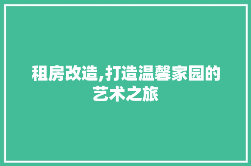 租房改造,打造温馨家园的艺术之旅
