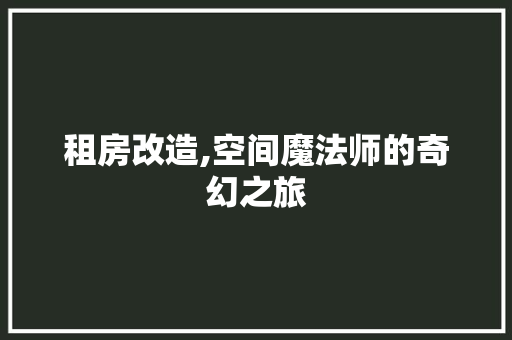 租房改造,空间魔法师的奇幻之旅