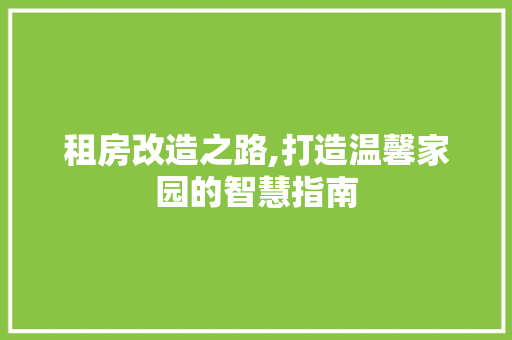 租房改造之路,打造温馨家园的智慧指南