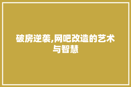破房逆袭,网吧改造的艺术与智慧