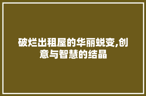 破烂出租屋的华丽蜕变,创意与智慧的结晶
