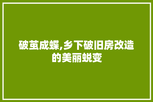 破茧成蝶,乡下破旧房改造的美丽蜕变